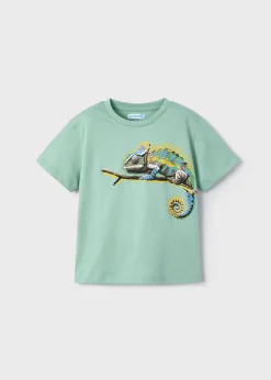 Best Camiseta camaleón niño Camisetas