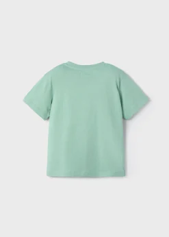Best Camiseta camaleón niño Camisetas