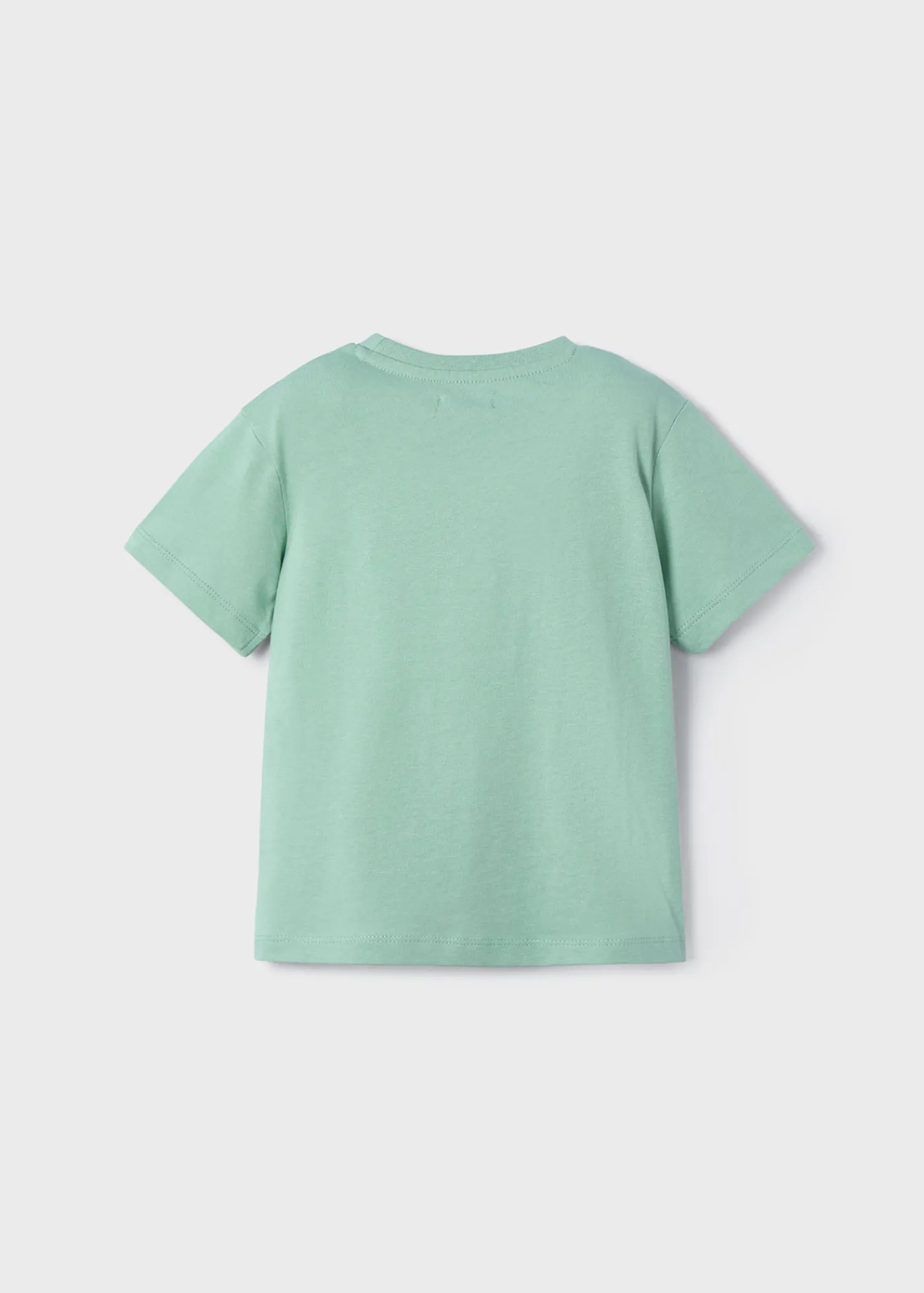Best Camiseta camaleón niño Camisetas