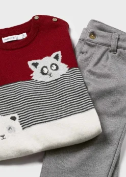 Discount Conjunto pantalón y jersey animal bebé Conjuntos